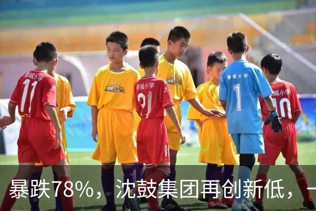 暴跌78%，沈鼓集团再创新低，一个月从82跌到了18！